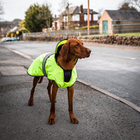 Danish Design - Ultimate 2In1 Dog Coat, Hi Viz