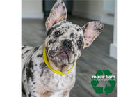 Ancol - Made From Softweave Collar, Black