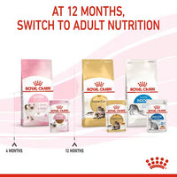 Royal Canin - Kitten 36 Kibble