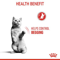 Royal Canin - Cat Appetite Control Care Kibble