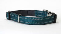Doodlebone - Padded Collar, Teal
