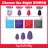 Kong - KONG Senior - Small