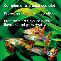 King British - Daphnia Treats - 18g