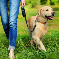 Simple Solution - Pee Training Post for Dogs & Puppies