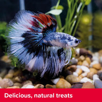 King British - Bloodworm Treats - 7G