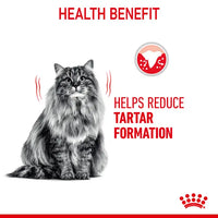 Royal Canin - Dental Care Cat Kibble