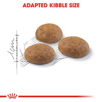 Royal Canin - Outdoor Cat 30 Kibble