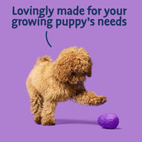 Barking Heads - All Hounder Puppy Days, Turkey - 2kg