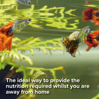 King British - Holiday Food Block (14 Days)