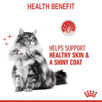 Royal Canin - Hair & Skin Cat Care Kibble