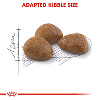 Royal Canin - Outdoor Cat +7 Kibble