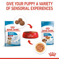 Royal Canin - Medium Puppy Dog In Gravy Pouch, 140g