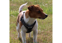 Ancol - Viva Comfort Dog Harness