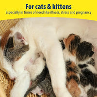 Kitzyme - Cat Conditioning Tablets - 100 Tablets