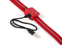 Doodlebone - Light Up LED Lead, Berry