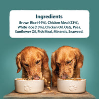Burns - Toy/Sml Breed Adult Dog Food, Chicken & Rice
