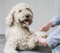 Mikki - Doodles Doodle Comb