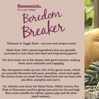Rosewood - Boredom Breaker Veggie Burst Salad Patch - Small Animal Treats - 200g