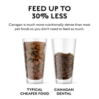 Canagan - Dental Dog Kibble, Turkey