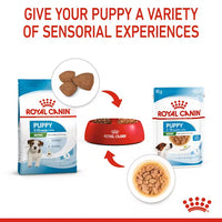 Royal Canin - Mini Puppy Dog Pouch In Gravy, 85g