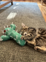 Mad Cat - Catty Cactus Kicker