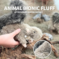 All For Paws - Squirrel with Squeaker Dog Toy - 18cm