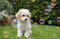 James & Steel - Doggy Tuff Bubbles