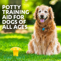 Simple Solution - Pee Training Post for Dogs & Puppies