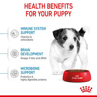 Royal Canin - Mini Puppy Dog Kibble