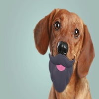 Ministry Of Pets - Vinyl Squeaky Beard Toy