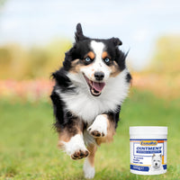 ExmaRid - Soothe & Protect Skin Ointment for Dogs - 100g