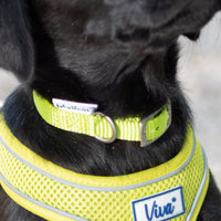 Ancol - Viva Collar, Lime