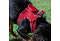 Ancol - Viva Step-in Harness - Red - Medium