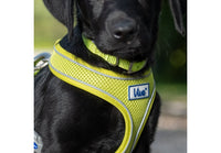 Ancol - Viva Comfort Dog Harness