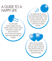 Supreme - Science Selective Degu Food - 1.5kg