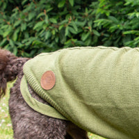 Ancol - SnugFit Cable Knit Jumper, Green