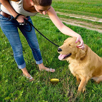 Simple Solution - Pee Training Post for Dogs & Puppies