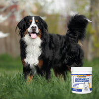 ExmaRid - Soothe & Protect Skin Ointment for Dogs - 100g