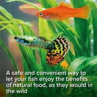 King British - Daphnia Treats - 18g