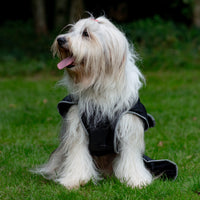 Ancol - Stormguard Dog Coat, Black