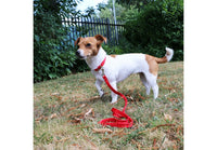 Ancol - Made From Softweave Snap Lead