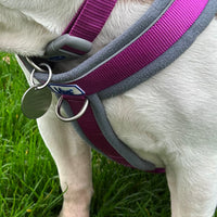 Ancol - Viva Padded Harness, Purple
