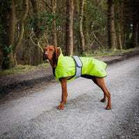 Danish Design - Ultimate 2In1 Dog Coat, Hi Viz