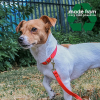 Ancol - Made From Softweave Collar, Red