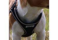 Ancol - Viva Comfort Dog Harness
