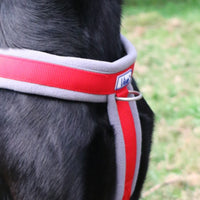 Ancol - Viva Padded Harness, Red