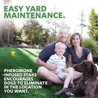 Simple Solution - Pee Training Post for Dogs & Puppies