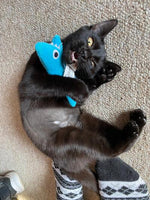 Mad Cat - Shark Biter With Silvervine & Catnip