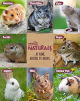 Rosewood - Naturals Hay N Treat Swing