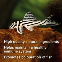 King British - Catfish Pellet Food